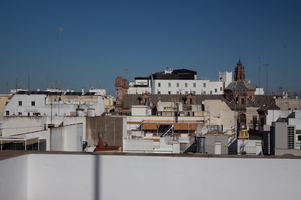 Black Swan Hostel Sevilla