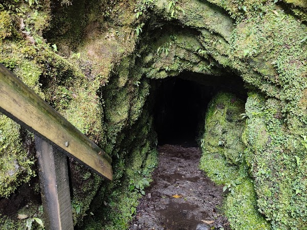 Tatare Tunnels Walk 5