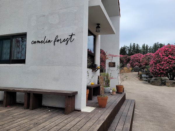 Camellia Forest 4