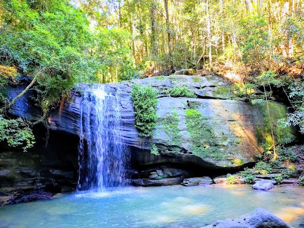 Buderim Forest Park 5