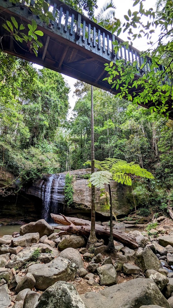 Buderim Forest Park 4