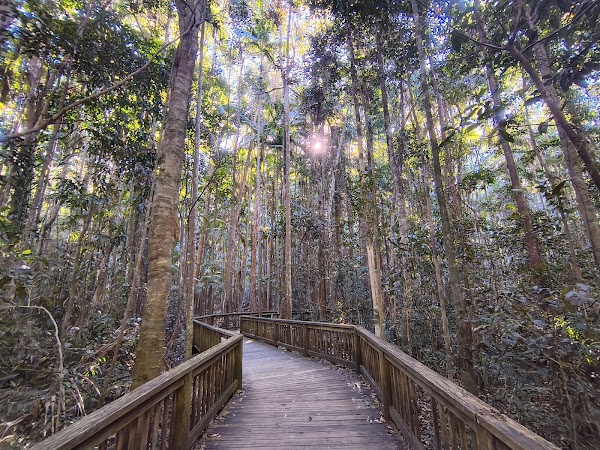 Buderim Forest Park 3