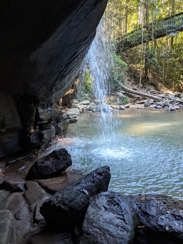 Buderim Forest Park 2