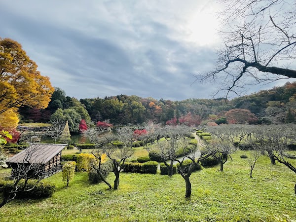 Shikisai no Mori Yakushiike Park 3