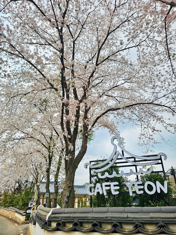 카페연 4