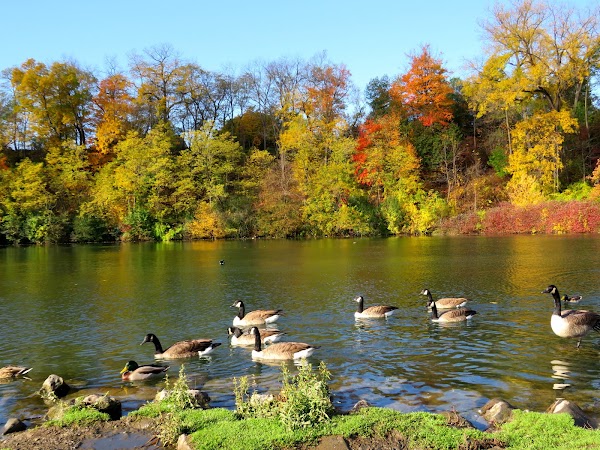 Dufferin Islands 1