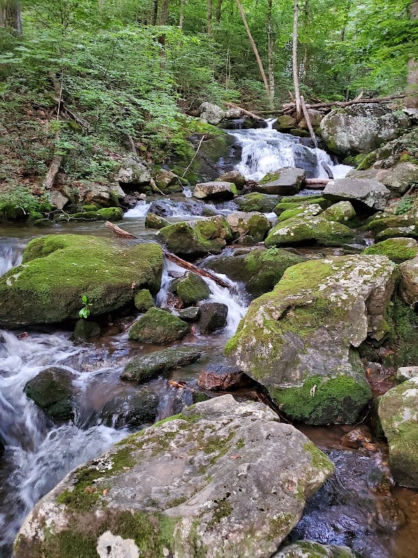 Crabtree Falls 4