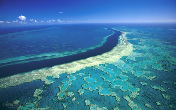 Great Barrier Reef 4