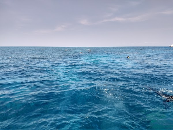 Great Barrier Reef 3