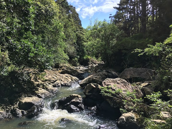 Maketu Waterfall 4