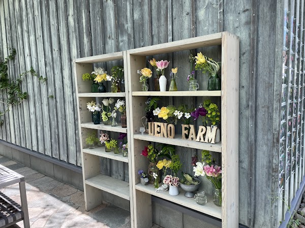 Ueno Farm (The Gnomes' Garden) 5