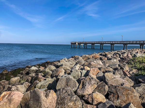 Oyster Point Marina 5