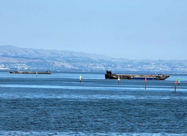 Oyster Point Marina 3
