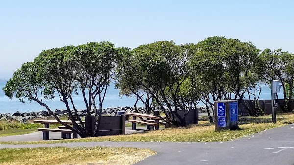 Oyster Point Marina 2