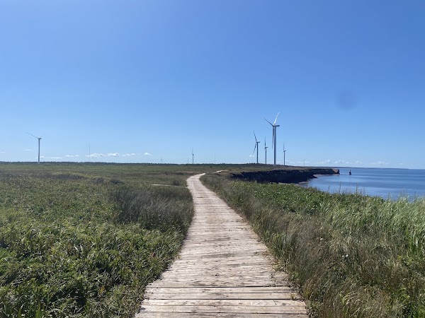 PEI 5