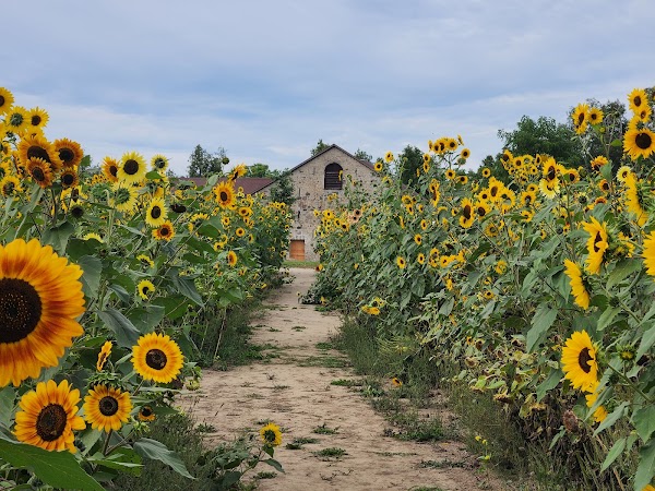 The Fieldstone Barn 5