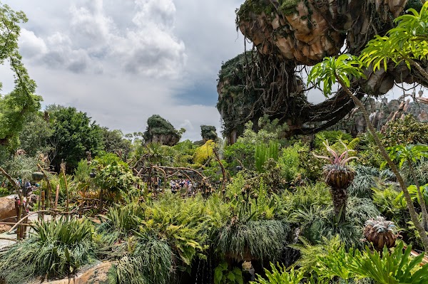 Pandora – The World of Avatar 1