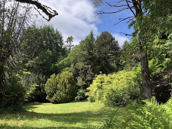Ronning's Garden 1