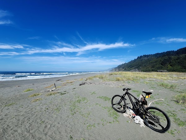 Redwood National and State Parks 2