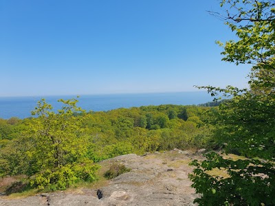 Stenshuvud's National Park