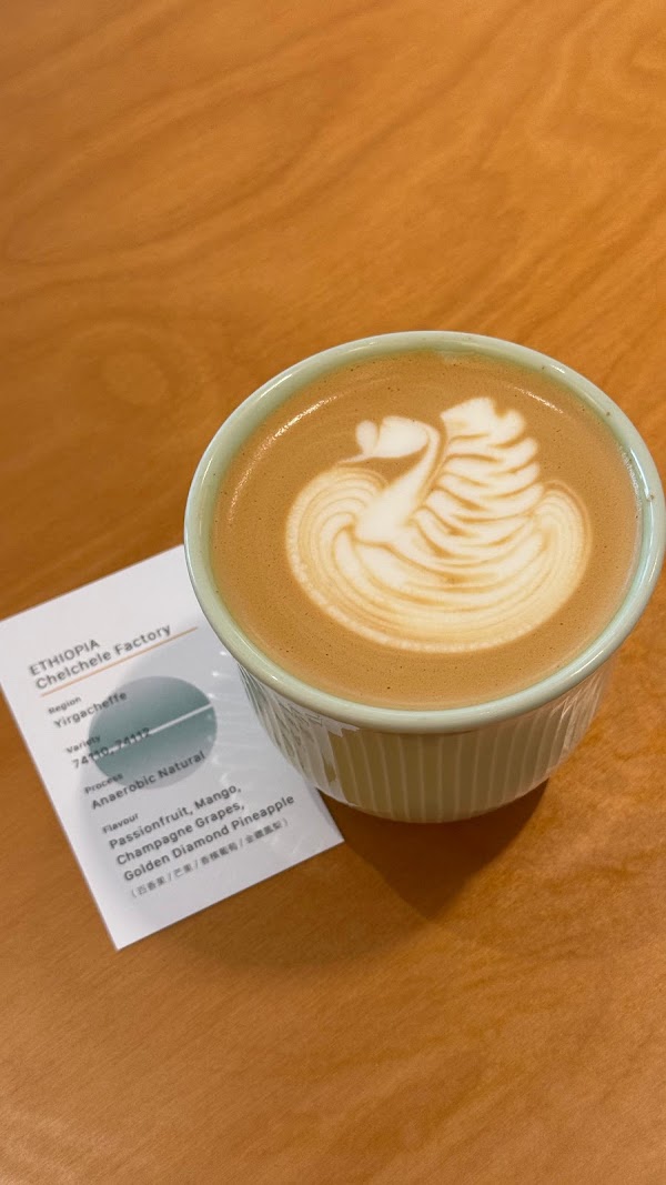 HOLISTIC Coffee 5