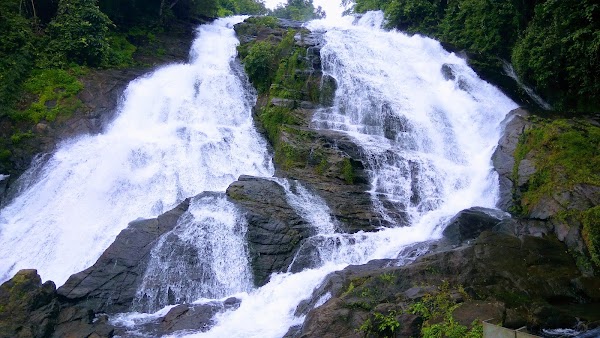 Athirappilly 2