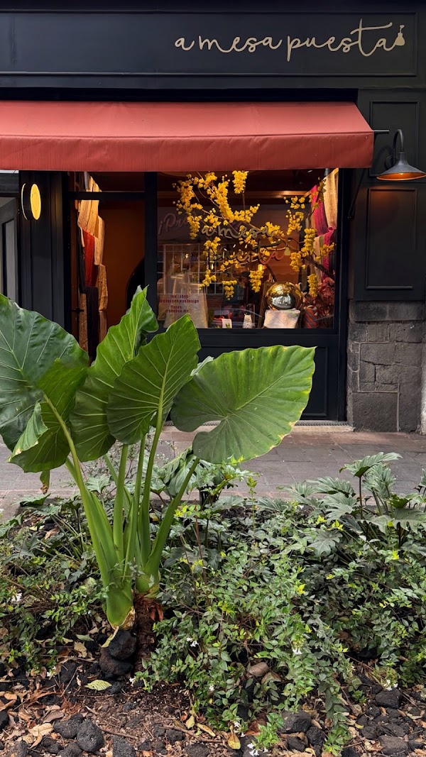 CDMX 18