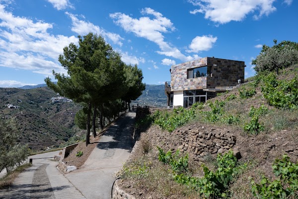 Bodegas Bentomiz