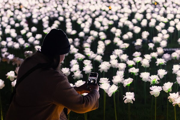 Ever After Garden - Royal Marsden Cancer Charity 1