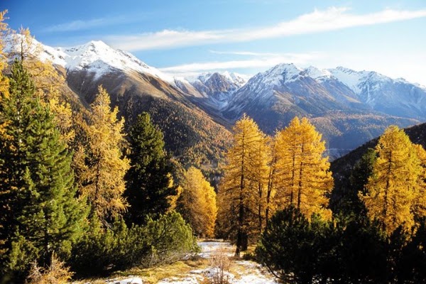 Swiss National Park 1