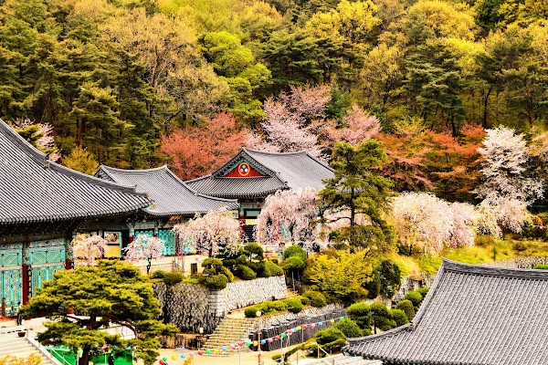 Gakwonsa Temple 4