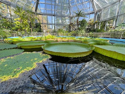 Alexandru Borza Botanical Garden