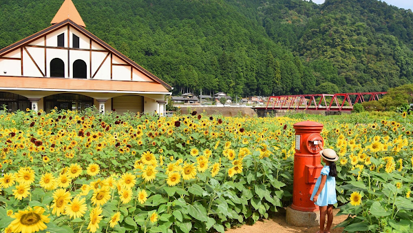 Suhara Himawari no Sato