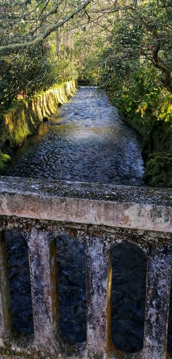 Furnas 4