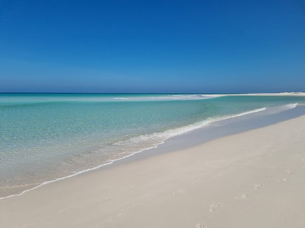 Detwah Lagoon Ramsar Site 5