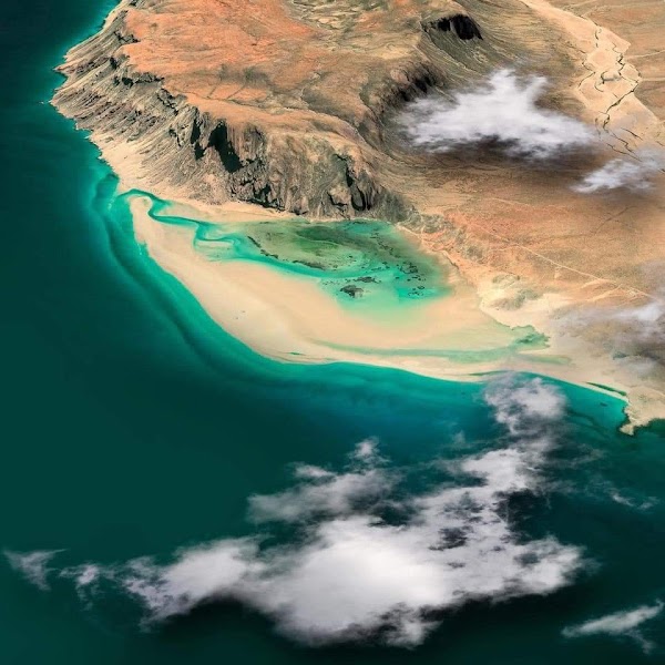 Detwah Lagoon Ramsar Site 2