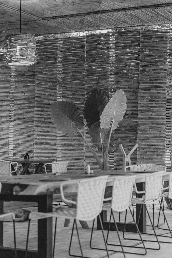 SHA COCINA DE LA COSTA DE OAXACA