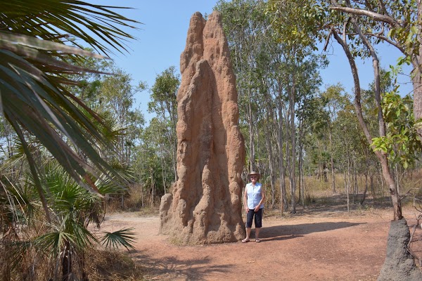 Magnetic Termite Mounds
