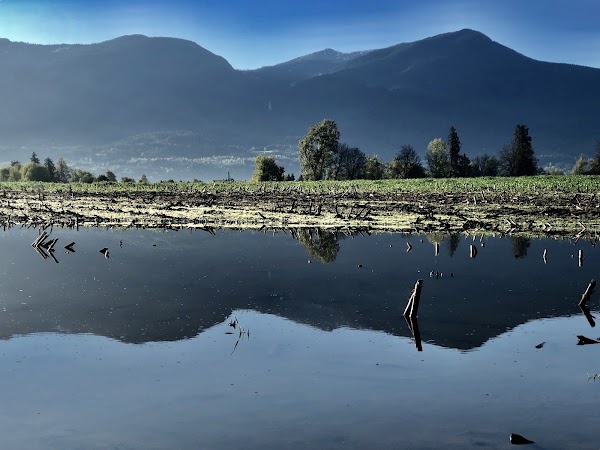 Chilliwack 3