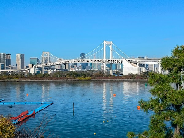 Statue of Liberty - Odaiba 6