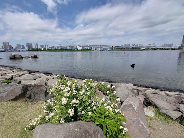 Statue of Liberty - Odaiba 5
