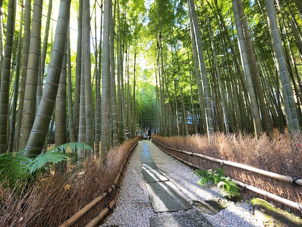 Hokokuji Temple 6