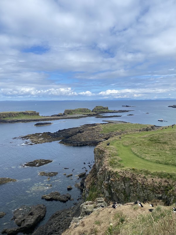 Lunga 4