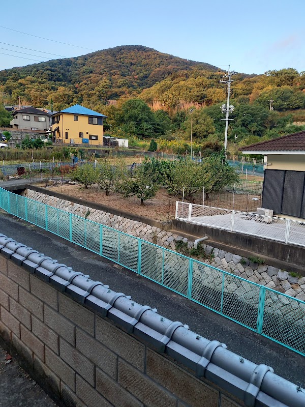 Shodoshima 4