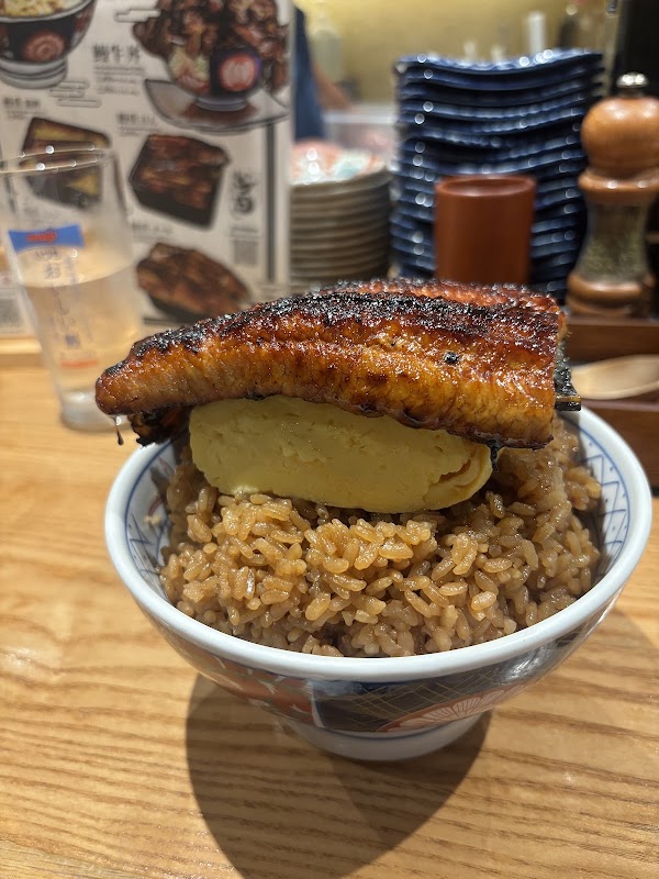 IZUMO Unagi 2