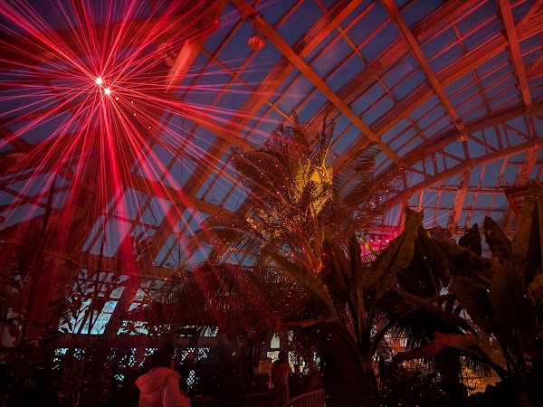LIGHT CYCLES KYOTO 2