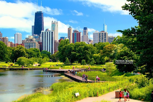 Nature Boardwalk at Lincoln Park Zoo 1