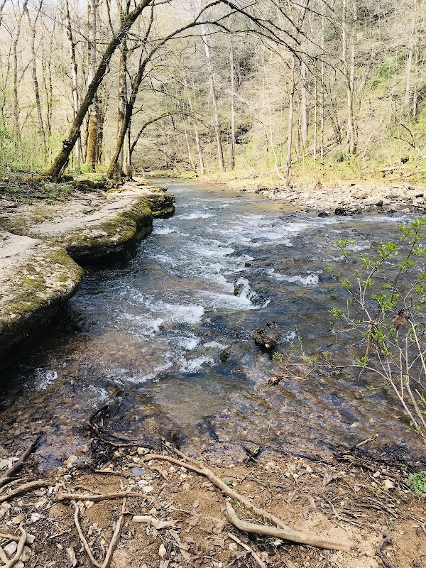 Rutledge Falls 5