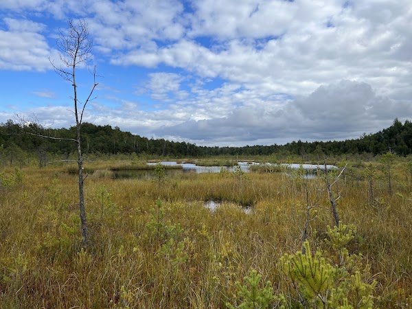 Varnikai Nature Trail