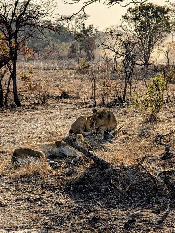 Kafue National Park 5